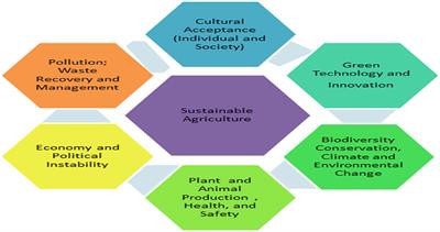 Metagenomics: A Tool for Exploring Key Microbiome With the Potentials for Improving Sustainable Agriculture